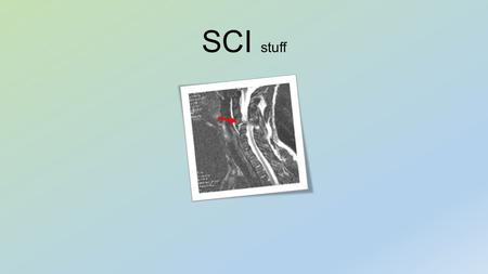 SCI stuff. Motor Points Dermatomes and Peripheral Nerve Distributions.