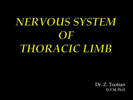 Dr. Z. Tootian D.V.M, Ph.D. BRACHIAL PLEXUS  C6, C7, C8, T1, T2.