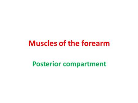 Posterior compartment