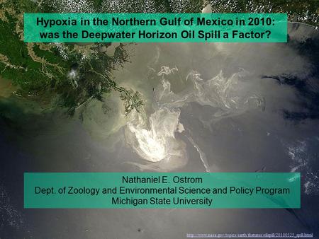 Hypoxia in the Northern Gulf of Mexico in 2010: was the Deepwater Horizon Oil Spill a Factor? Nathaniel E. Ostrom Dept. of Zoology and Environmental Science.