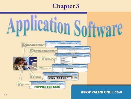 Chapter 3 Application Software WWW.PALINFONET.COM p. 6.