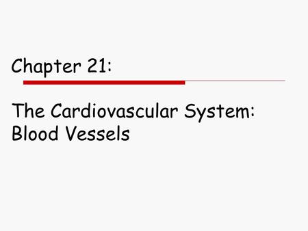 Chapter 21: The Cardiovascular System: Blood Vessels