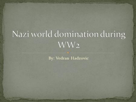 By: Vedran Hadzovic. The individual was a whole party, called the Nazi party, they had a lot of members but the known leader was Adolf Hitler.