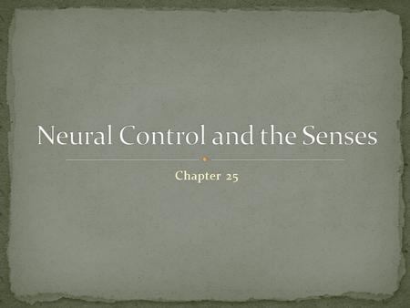 Neural Control and the Senses