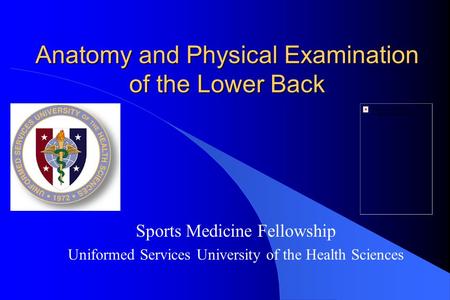 Anatomy and Physical Examination of the Lower Back