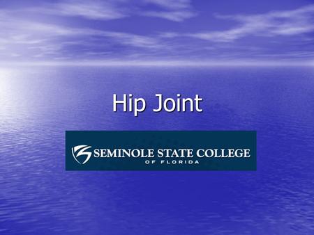 Hip Joint.