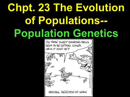 Chpt. 23 The Evolution of Populations-- Population Genetics