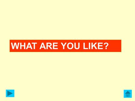 WHAT ARE YOU LIKE?. I like working hard. HARD-WORKING.