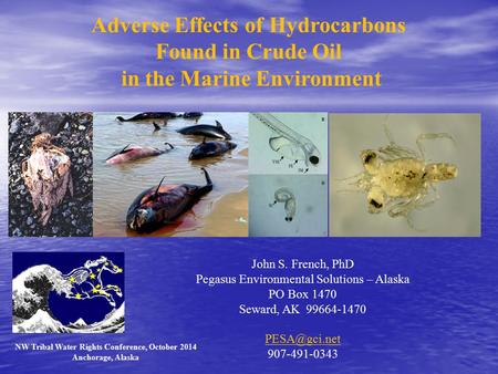 Adverse Effects of Hydrocarbons Found in Crude Oil in the Marine Environment John S. French, PhD Pegasus Environmental Solutions – Alaska PO Box 1470 Seward,