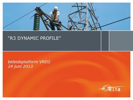 “R3 DYNAMIC PROFILE” beleidsplatform VREG 24 juni 2013.