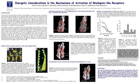 Energetic Considerations in the Mechanisms of Activation of Rhodopsin-like Receptors Irache Visiers§, Barbara J. Ebersole‡, Stella Dracheva‡, Juan Ballesteros§*,Stuart.