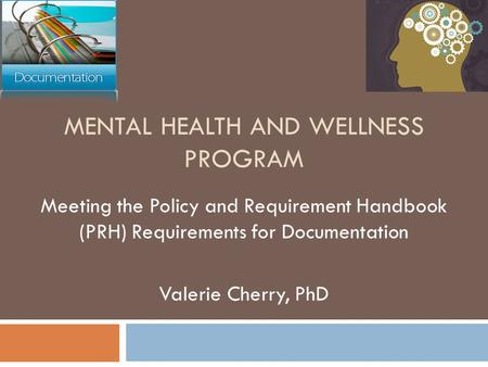 Mental Health and Wellness Program