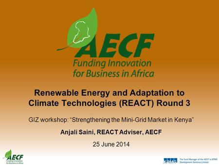 Renewable Energy and Adaptation to Climate Technologies (REACT) Round 3 GIZ workshop: “Strengthening the Mini-Grid Market in Kenya” Anjali Saini, REACT.