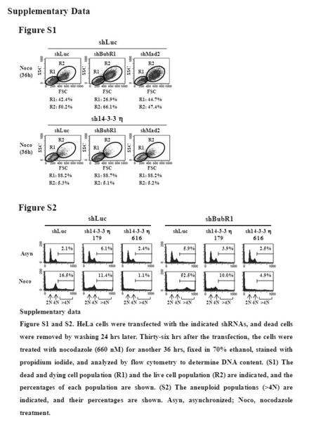 Supplementary Data shLuc sh14-3-3   sh14-3-3  179 shLuc sh14-3-3   sh14-3-3  179 Asyn Noco 2.1% 6.1% 2.4% 16.5%11.4%1.1% 5.9%3.9%2.5% 52.5%10.0%4.9%