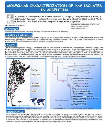 MOLECULAR CHARACTERIZATION OF HAV ISOLATES IN ARGENTINA M. Munné 1, S. Vladimirsky 1, M. Cañero Velasco 2, L. Otegui 1, L. Brajterman 1 R. Castro 1, S.