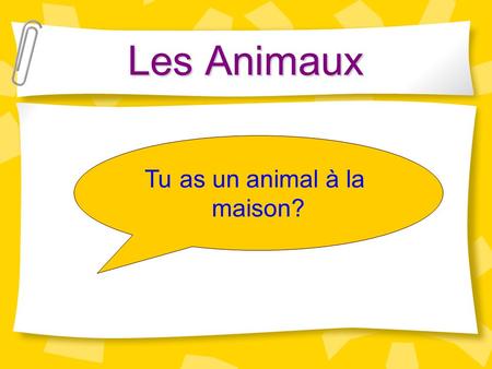 Les Animaux Tu as un animal à la maison?.