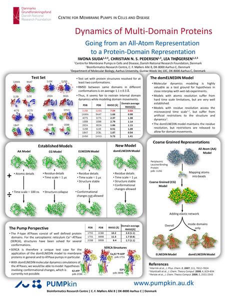 PUMPkin C ENTRE FOR M EMBRANE P UMPS IN C ELLS AND D ISEASE www.pumpkin.au.dk Dynamics of Multi-Domain Proteins Going from an All-Atom Representation to.