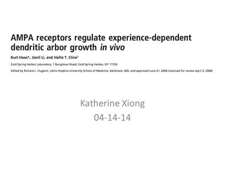 Katherine Xiong 04-14-14. Figure 3A: GlutR1Ct and GlutR2Ct reduce branch stability 3 days after transfection GFP and GlutR1/2Ct transfected tectal neurons.