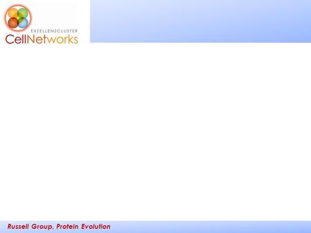 Russell Group, Protein Evolution _________ ____. Russell Group, Protein Evolution _________ ____ Rob Russell Cell Networks University of Heidelberg Putting.