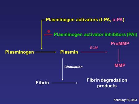 Plasmin Fibrin Fibrin degradation products Plasminogen Plasminogen activators (t-PA, u-PA) Plasminogen activator inhibitors (PAI) February 19, 2004 ProMMP.