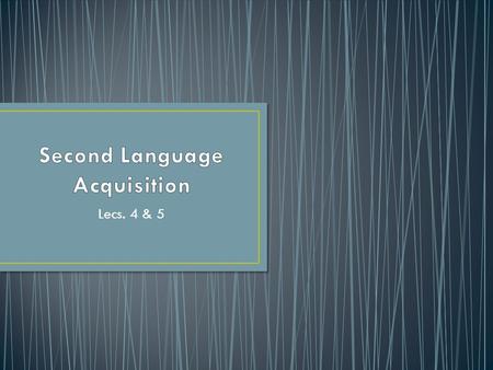 Second Language Acquisition