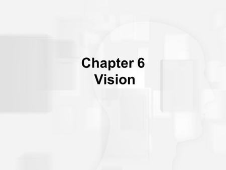 Chapter 6 Vision. Sensation and Perception: Important Vocabulary Terms Sensation is the process of receiving, transducing, and coding stimulus energy.