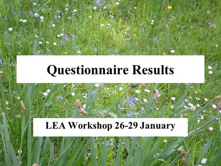 Questionnaire Results LEA Workshop 26-29 January.