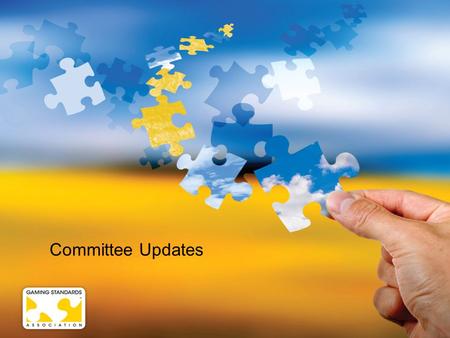 Committee Updates.  G2S – Dan Milligan  S2S – Kevin Higgins  Transport – Erik Petersen  GDS – Pat Gustafson  CIC – Dennis Kleppen  OAC – Kerry Wolfe.