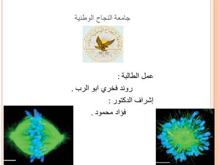 جامعة النجاح الوطنية عمل الطالبة :. روند فخري ابو الرب إشراف الدكتور :. فؤاد محمود.