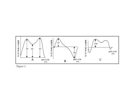 Z1 Z2 Z3 Fz (% body weight) X7 X9 Y10 A B C Figure 1. gait cycle (%) gait cycle (%) gait cycle (%) Fx (% body weight) Fy (% body weight)