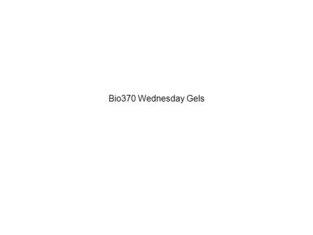 Bio370 Wednesday Gels. Hania, Nejla, Jayant, Rashmi Gel from Lab 1: Restriction digest of plasmids pAMP and pKAN Lanes from left to right: Marker, control.