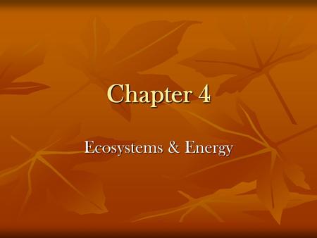 Chapter 4 Ecosystems & Energy.