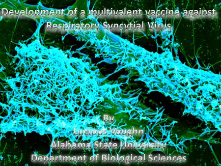 Human Respiratory Syncytial Virus (RSV) is the most common cause of bronchiolitis and pneumonia among infants and children, with almost everyone having.