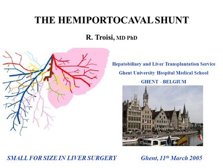 SMALL FOR SIZE IN LIVER SURGERY Ghent, 11 th March 2005 THE HEMIPORTOCAVAL SHUNT R. Troisi, MD PhD Hepatobiliary and Liver Transplantation Service Ghent.