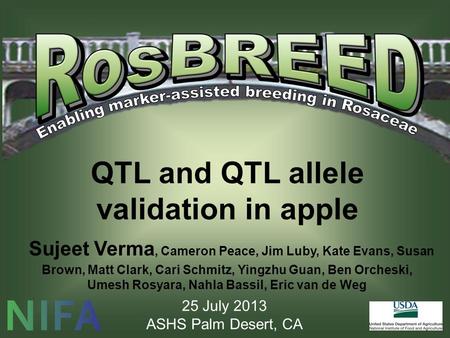 QTL and QTL allele validation in apple Sujeet Verma, Cameron Peace, Jim Luby, Kate Evans, Susan Brown, Matt Clark, Cari Schmitz, Yingzhu Guan, Ben Orcheski,