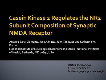 Antonio Sanz-Clemente, Jose A.Matta, John T.R. Isaac and Katherine W. Roche. National Institute of Neurological Disorders and Stroke, National Institutes.