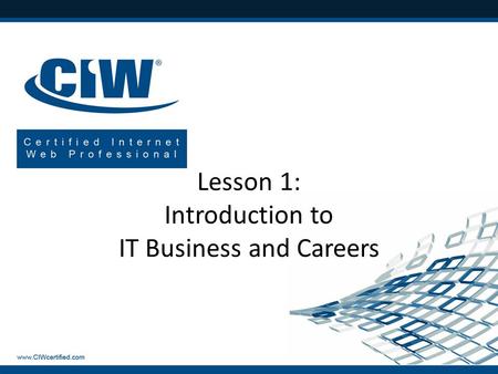 Lesson 1: Introduction to IT Business and Careers