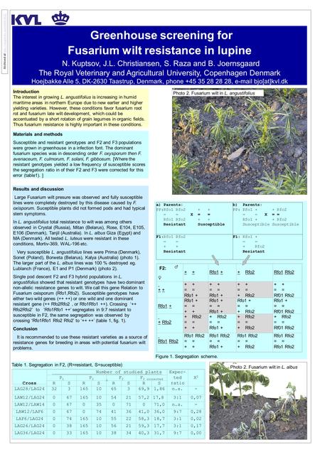 Greenhouse screening for Fusarium wilt resistance in lupine N. Kuptsov, J.L. Christiansen, S. Raza and B. Joernsgaard The Royal Veterinary and Agricultural.