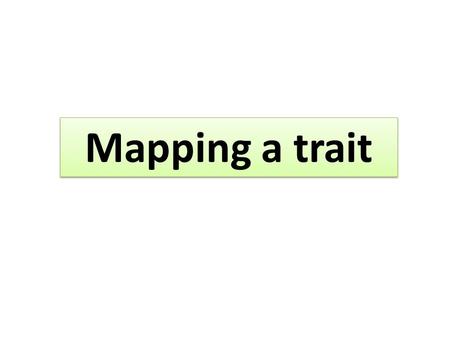 Mapping a trait. Types of trait: 1.Monogenic 2.Polygenic-Quantitative-continuous QT are the cumulative effect of many genes and are environment dependent.