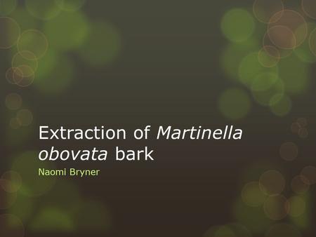 Extraction of Martinella obovata bark Naomi Bryner.