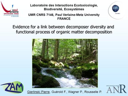 Evidence for a link between decomposer diversity and functional process of organic matter decomposition Laboratoire des Interactions Ecotoxicologie, Biodiversité,