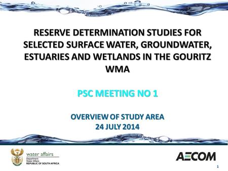 1 RESERVE DETERMINATION STUDIES FOR SELECTED SURFACE WATER, GROUNDWATER, ESTUARIES AND WETLANDS IN THE GOURITZ WMA PSC MEETING NO 1 OVERVIEW OF STUDY AREA.