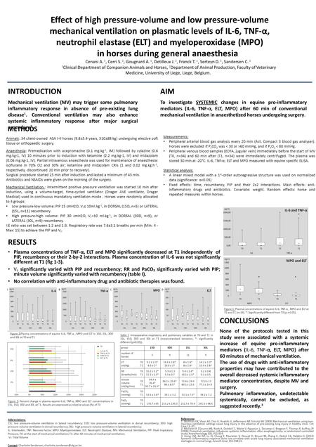 Effect of high pressure-volume and low pressure-volume mechanical ventilation on plasmatic levels of IL-6, TNF-α, neutrophil elastase (ELT) and myeloperoxidase.