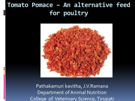 Tomato Pomace – An alternative feed for poultry Pathakamuri kavitha, J.V.Ramana Department of Animal Nutrition College of Veterinary Science, Tirupati.