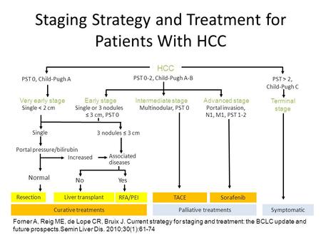 Staging Strategy and Treatment for Patients With HCC