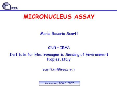 Institute for Electromagnetic Sensing of Environment Naples, Italy