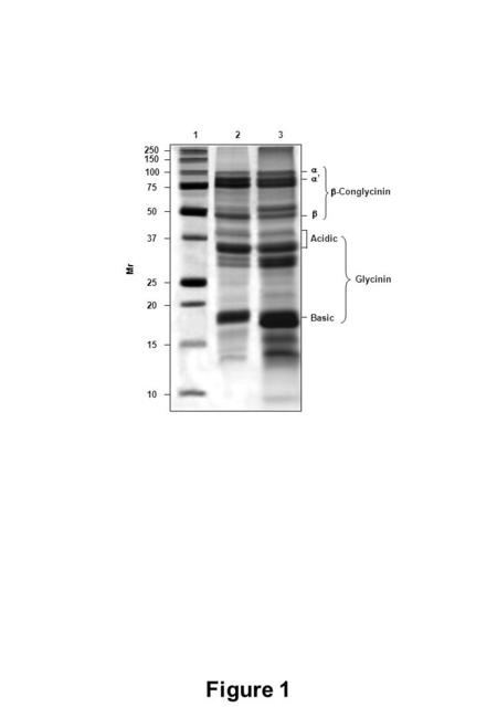 250 150 100 75 50 37 25 20 15 10 Figure 1  ’’   -Conglycinin Acidic Basic Glycinin Mr 123.