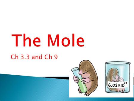 The Mole Ch 3.3 and Ch 9.