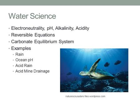 Water Science Electroneutrality, pH, Alkalinity, Acidity