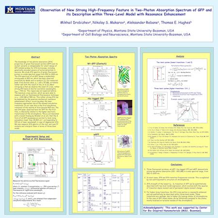 Observation of New Strong High-Frequency Feature in Two-Photon Absorption Spectrum of GFP and its Description within Three-Level Model with Resonance Enhancement.